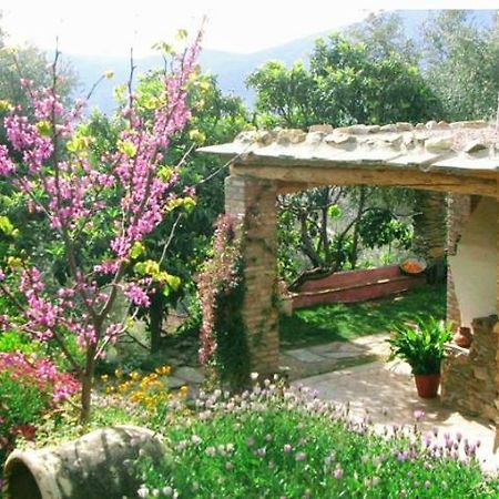 Mountain House Surrounded By Nature Bayacas Exteriör bild